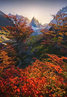 Nature Reserve Prints: Cerro Torre mountain framed by autumn trees from Laguna Torre