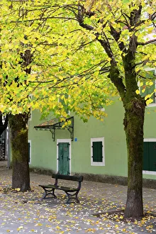 Montenegro Prints: Cetinje, Montenegro