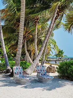 Chair Prints: Chairs at the waterfront of San Pedro Town, Ambergris Caye, Belize District, Belize