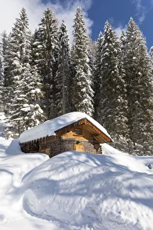 Chalet near Falcade village, Belluno district, Veneto, Italy