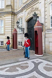 Neil Farrin Prints: Changing of the Guard, Amalienborg Palace, Copenhagen, Denmark