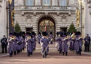Customs Prints: Changing of the Guard at Buckingham Palace, London, England, United Kingdom