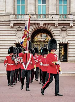 Males Collection: Changing of the Guard at Buckingham Palace, London, England, United Kingdom