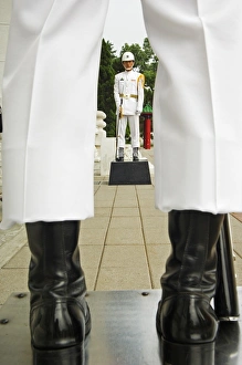 Sentry Prints: Changing of the guards ceremony