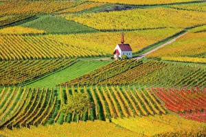 Baden Wuerttemberg Prints: Chapel in the autumnal vineyards at the Keizerstuhl