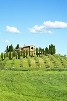 Tour Prints: Chapel and cypress trees in the Val d'Orcia, near Pienza, Tuscany, Italy