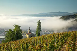 Chapel Hermitage, Tain L Hermitage, Cote du Rhone, Drome, Rhone-Alpes, France