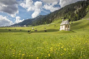 Flower Meadow Prints: Chapel in the meadows near Obertilliach in the Lesachtal valley