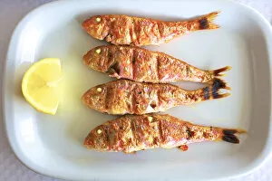Relaxation Gallery: Charcoal Grilled Red Mullet, Eastern Algarve, Algarve, Portugal, Europe