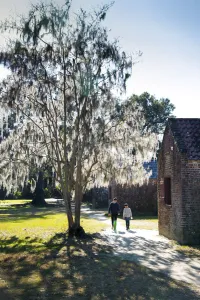 Cabins Prints: Charleston, South Carolina, Boone Hall Plantation And Gardens, Antebellum Era, Slave