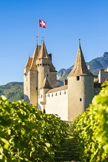 Agricultural Prints: Chateau de Aigle Castle surrounded by vinefields during autumn harvest season, Aigle