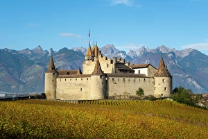 Vaud Prints: Chateau d'Aigle and vineyards, Aigle, Vaud, Switzerland