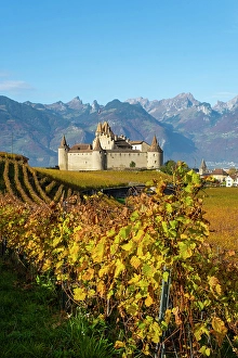 Vaud Prints: Chateau d'Aigle and vineyards, Aigle, Vaud, Switzerland