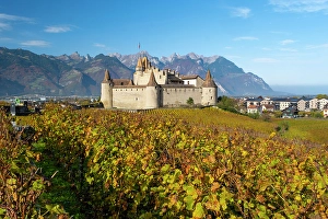 Vaud Prints: Chateau d'Aigle and vineyards, Aigle, Vaud, Switzerland