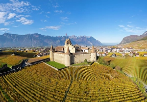 Wine Region Prints: Chateau d'Aigle and vineyards, Aigle, Vaud, Switzerland