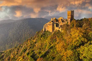 Grand Est Prints: Chateau de St. Ulrich at sunrise, Ribeauville, Alsace, Haut-Rhin, France