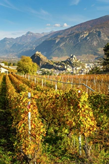 Sion Prints: Chateau de Tourbillon & Basilique de Valere