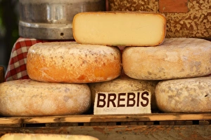 Images Dated 6th July 2014: Cheese for sale at local market, L Isle sur la Sorgue, Provence Alpes Cote d Azur