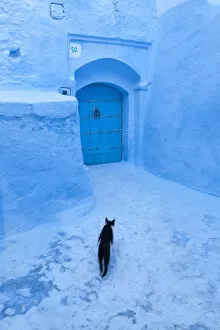 Painted Gallery: Chefchaouen, Morocco. The blue medina