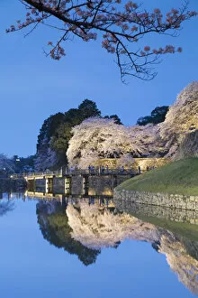 Images Dated 25th April 2018: Cherry blossom and bridge at Hikone Castle at dusk, Hikone, Kansai, Japan