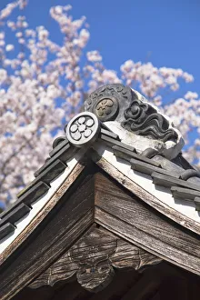 Kobe Prints: Cherry blossom at Kitano Tenman shrine, Kobe, Kansai, Japan