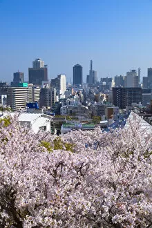Images Dated 25th April 2018: Cherry blossom and Kobe skyline, Kobe, Kansai, Japan