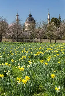 Images Dated 20th April 2022: Cherry blossom with mosque in the Baroque Garden of Schloss Schwetzingen Castle, Schwetzingen