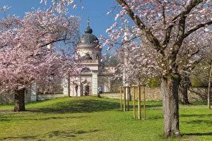 Images Dated 20th April 2022: Cherry blossom with mosque in the Baroque Garden of Schloss Schwetzingen Castle, Schwetzingen