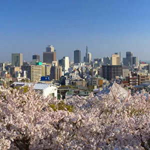 Kansai Collection: Cherry blossom and view of Kobe skyline, Kobe, Kansai, Japan
