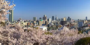 Images Dated 28th March 2018: Cherry blossom and view of Kobe skyline, Kobe, Kansai, Japan