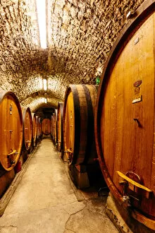 Images Dated 21st March 2019: Chianti Wine Barrels in cellar, Tuscany, Italy