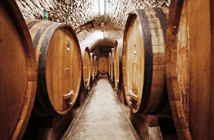Images Dated 21st March 2019: Chianti Wine Barrels in cellar, Tuscany, Italy