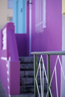 Mauve Prints: Chiappini Street, St