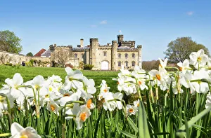 Daffodil Prints: Chiddingstone Castle in spring, Kent, England