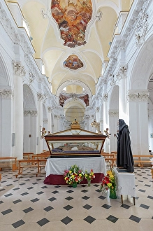 Church Interior Prints: Chiesa di San Carlo al Corso interior, Noto, Noto Valley, Sicily, Italy