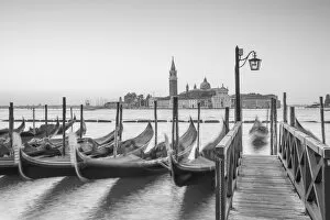 What's New: Venice