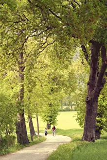 Factory Prints: Children walking and cycling along the paths of campaigns Spello, Perugia district