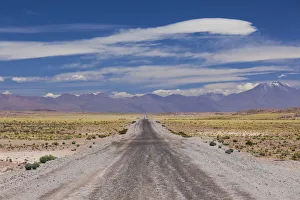 Norte Prints: Chile, Atacama Desert, Laguna Miscanti, desert road