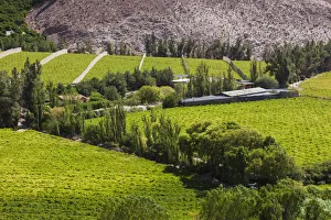 Norte Prints: Chile, Elqui Valley, Rivadavia, valley view with fruit orchards
