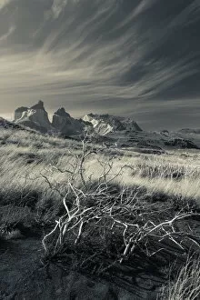 Images Dated 6th February 2013: Chile, Magallanes Region, Torres del Paine National Park, landscape by Salto Grande