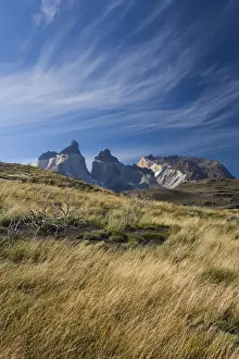 Magallanes Region Prints: Chile, Magallanes Region, Torres del Paine National Park, landscape by Salto Grande