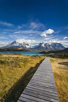 Lago Pehoe Prints: Chile, Magallanes Region, Torres del Paine National Park, Lago Pehoe, morning landscape