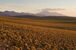 Images Dated 30th June 2008: Chile, Norte Grande, Antofagasta Region, Atacama desert, Los Flamencos National Reserve