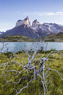 Chile, Patagonia, Magallanes and the Chilean region of Antarctica, Ultima Esperanza