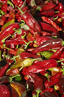 Harvest Gallery: Chili peppers left to dry in the sun, near Cachi, Calchaquai Valley, Salta, Argentina