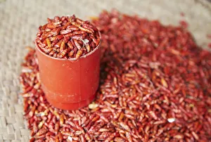Images Dated 24th November 2010: Chillies at market, Inhambane, Mozambique