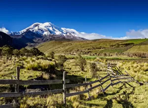 Grassland Collection: Chimborazo Volcano, Chimborazo Province, Ecuador