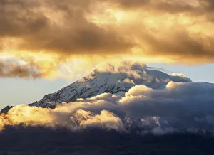 Cordillera Occidental Prints: Chimborazo Volcano seen from Riobamba, sunset, Chimborazo Province, Ecuador
