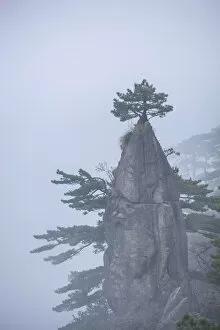 Images Dated 6th September 2021: China, Anhui Province, UNESCO World Heritage Site, Mount Huangshan, National Park