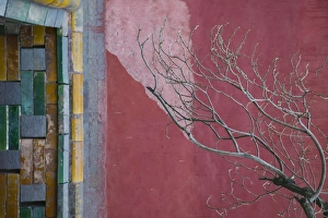 Peking Prints: China, Beijing, The Forbidden City, Courtyard Detail